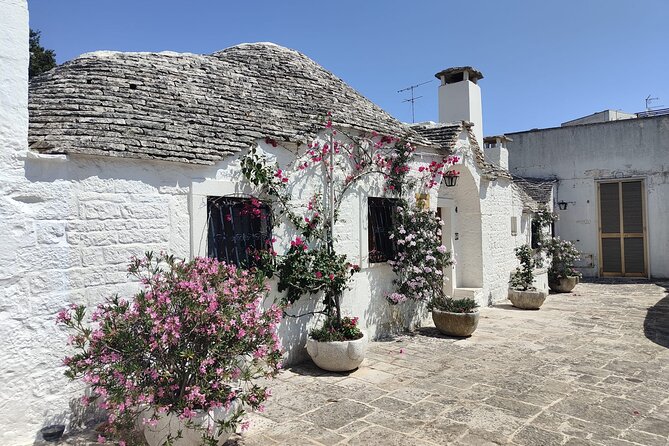 Tour: Alberobello, Locorotondo and Ostuni, Plus Rich Tasting - Tour Highlights