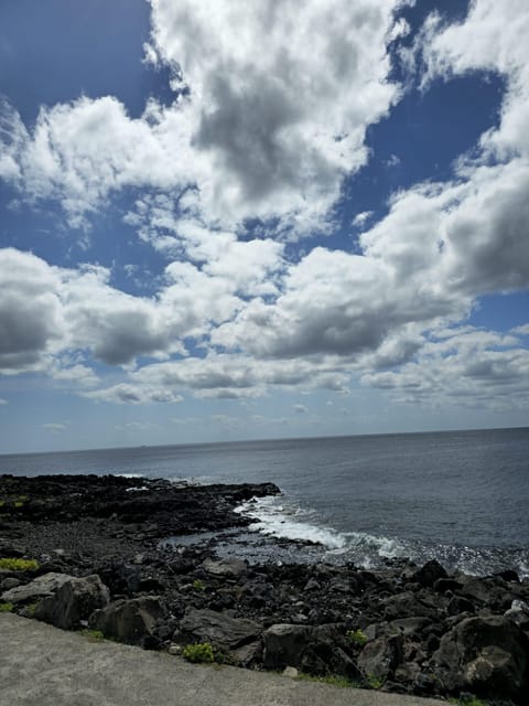 Tour along the coast of Terceira Island - Why This Tour Is Worth It
