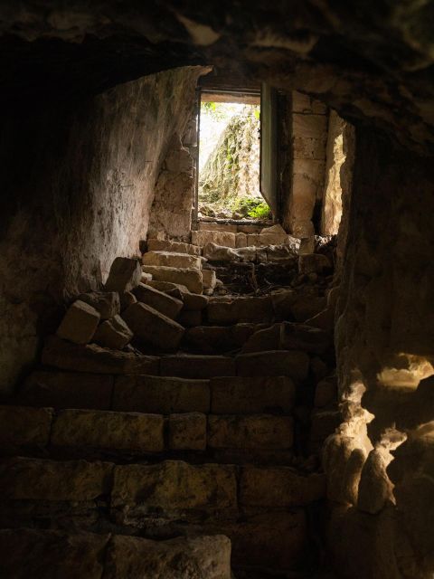 Tour Among the Temples of Oil and the Patriarch Olive Trees - Key Points
