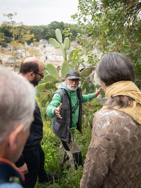 Tour Among the Temples of Oil and the Patriarch Olive Trees - Accessibility Information