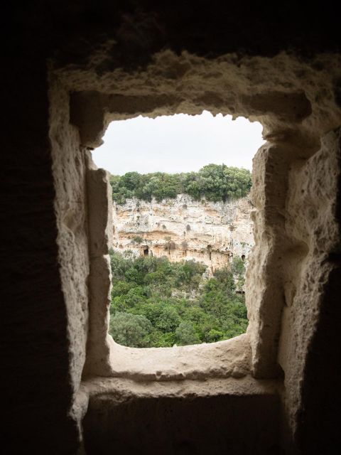 Tour Among the Temples of Oil and the Patriarch Olive Trees - Frequently Asked Questions