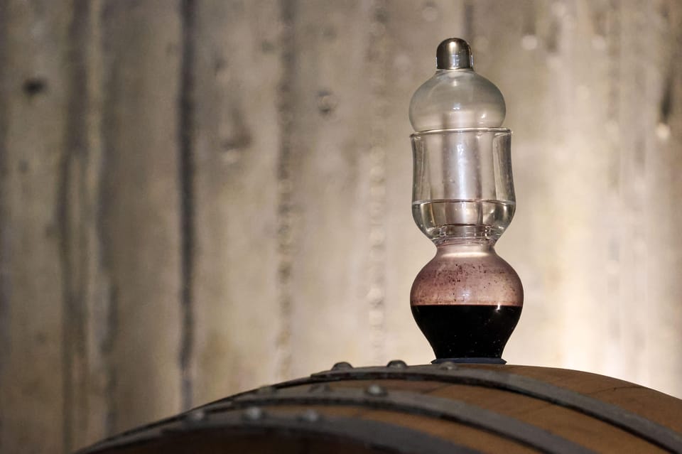 TOUR AND LUNCH AT THE CELLAR, HIS MAJESTY THE FLORENTINE STEAK - The Vineyard and Winery Tour