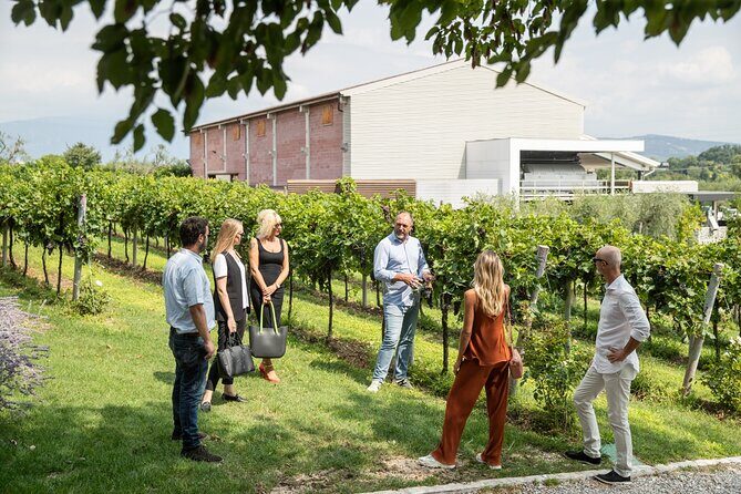 Tour and Tasting of Organic Wines in Lazise - The Sum Up