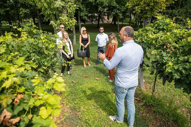Tour and Tasting of Organic Wines in Lazise - FAQ