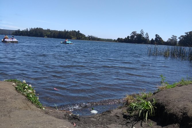 Tour Around Alessandri Park & San Pedro De La Paz - Transportation and Meeting Details