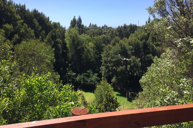 Tour Around Coronel & Lota - Reviews and Ratings