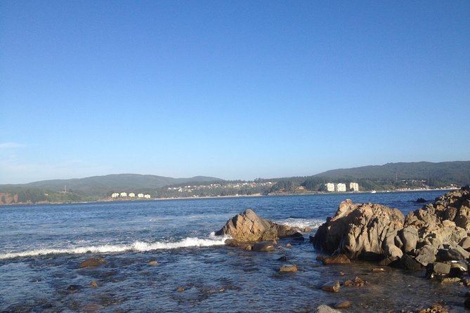 Tour Around the Coast Towns in Tomé & Dichato - Good To Know