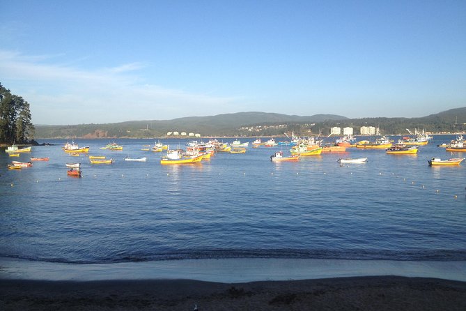 Tour Around the Coast Towns in Tomé & Dichato - Itinerary and Highlights