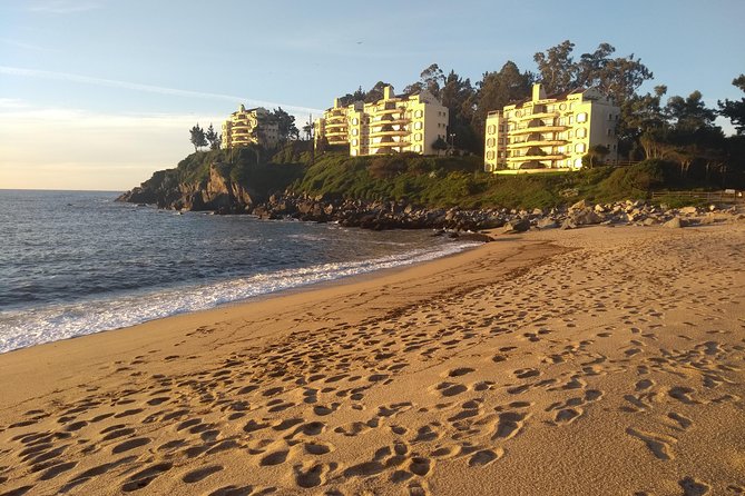 Tour Around the Coast Towns in Tomé & Dichato - Pricing and Group Size