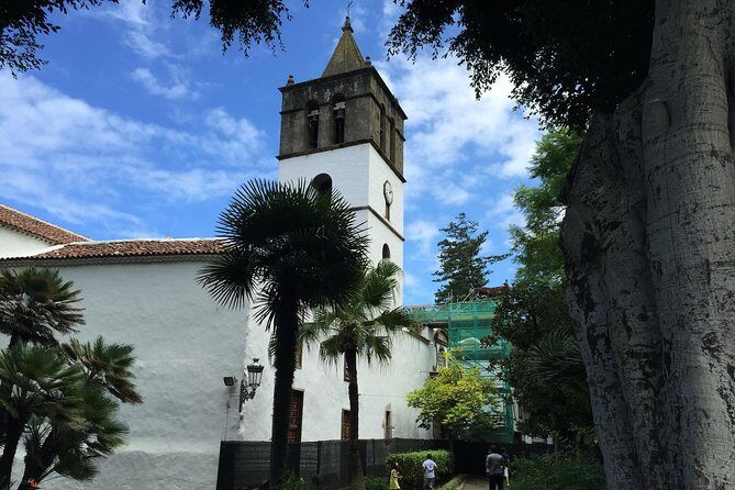 Tour Around the Island - Private VIP Tour in Tenerife - What Makes This Tour Stand Out?