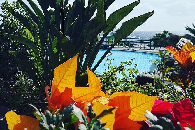 Tour Around the Island - Private VIP Tour in Tenerife - Final Thoughts