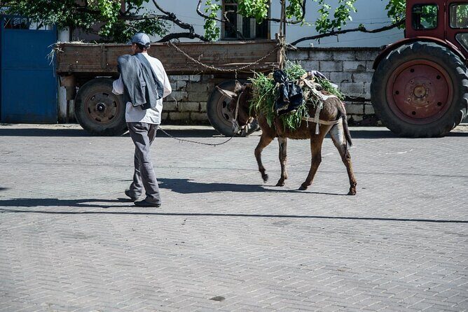 Tour Around the Lake Albania from Ohrid - Exploring a Different Side of the Balkans