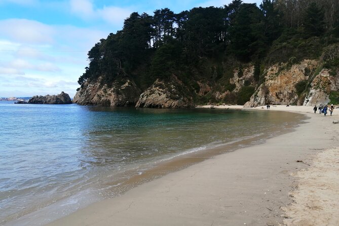 Tour Around the Shore of the Peninsula De Hualpén - Good To Know