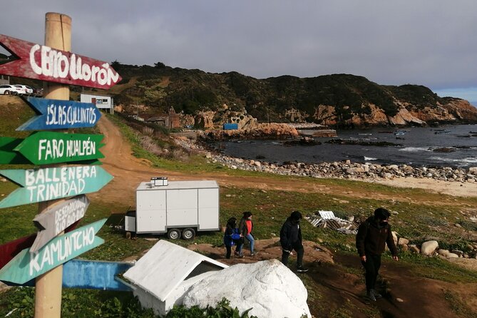 Tour Around the Shore of the Peninsula De Hualpén - Discovering the Coastal Wonders