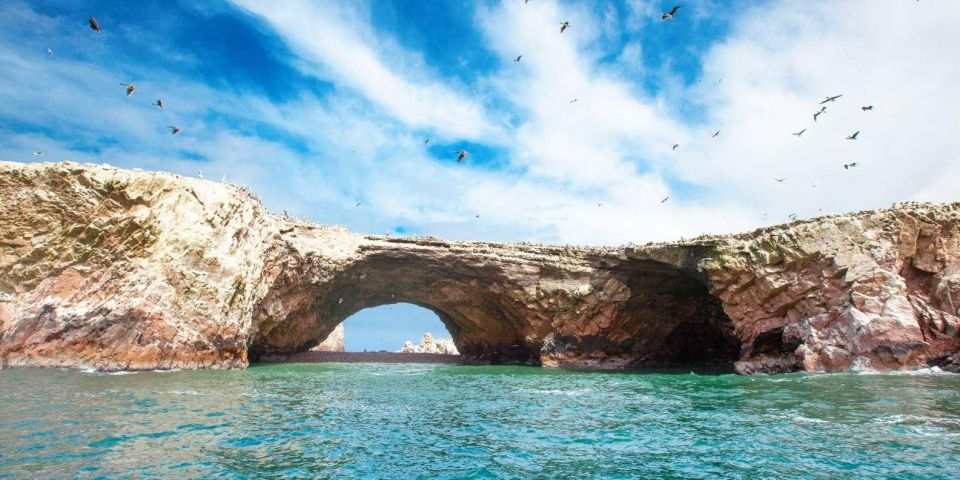 Tour: Ballestas Islands and the Paracas National Reserve - Itinerary Highlights
