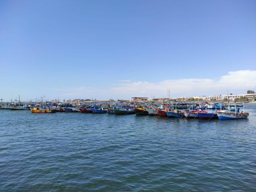 Tour: Ballestas Islands and the Paracas National Reserve - Nearby Attractions to Explore