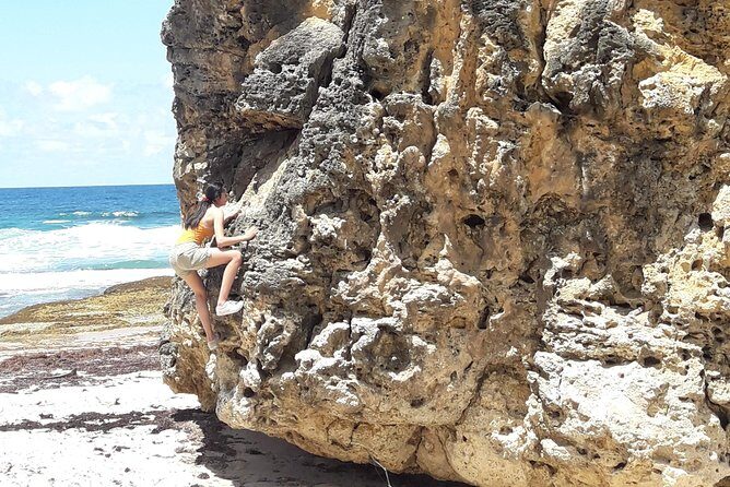 Tour Barbados Your Way - Who Is This Tour Best For?