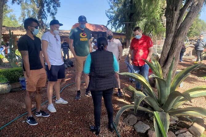 Tour Basilica de Guadalupe and Teotihuacan - Final Thoughts