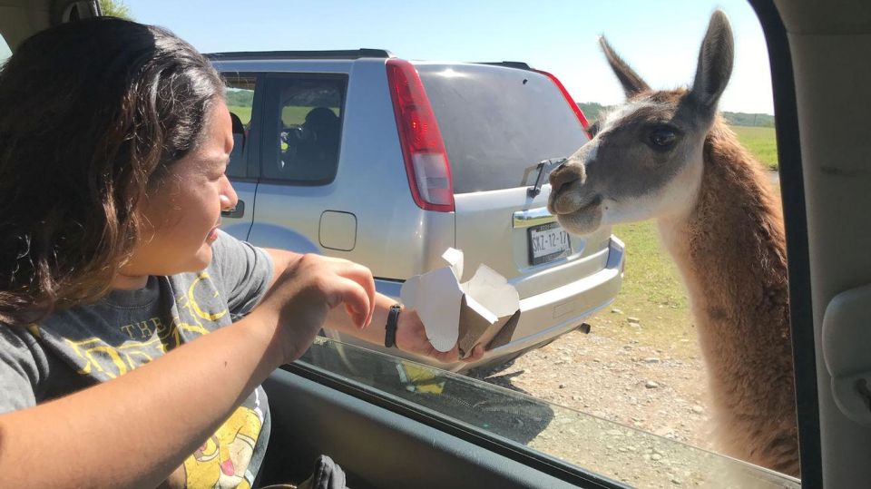 Tour Bioparque Estrella, With Transfer, Safari and Tickets - Encounter Over 50 Animal Species