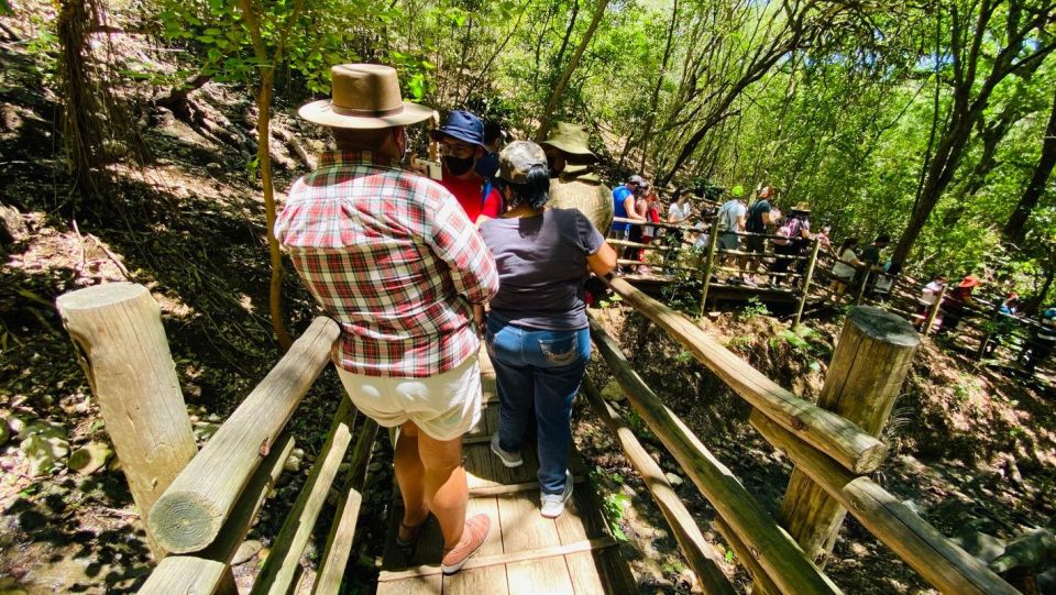 Tour Bioparque Estrella, With Transfer, Safari and Tickets - Traverse Bioparque Estrella in Specialized Vehicles