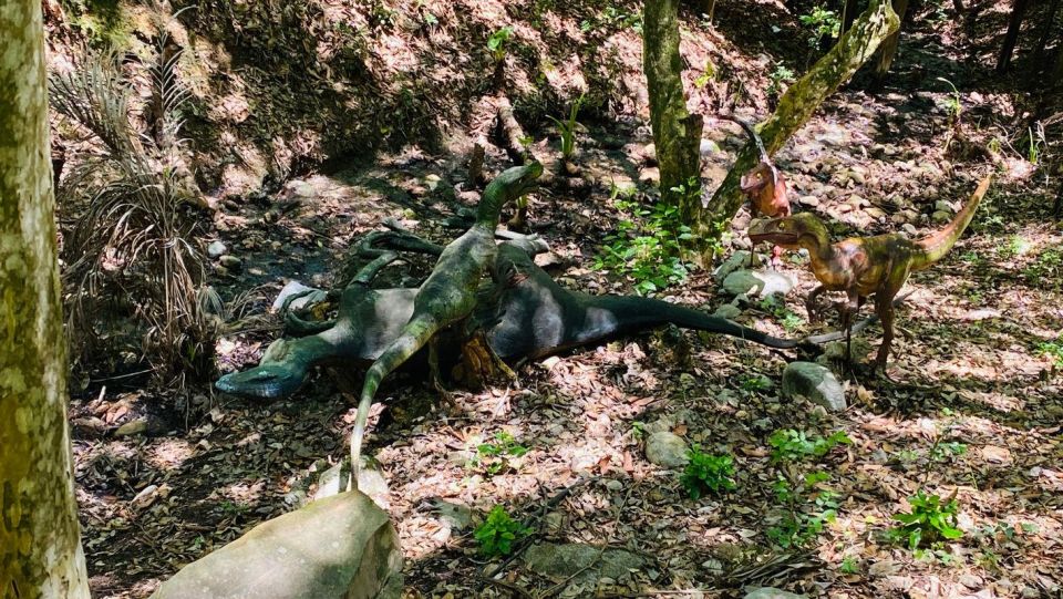 Tour Bioparque Estrella, With Transfer, Safari and Tickets - Greet and Feed the Animals