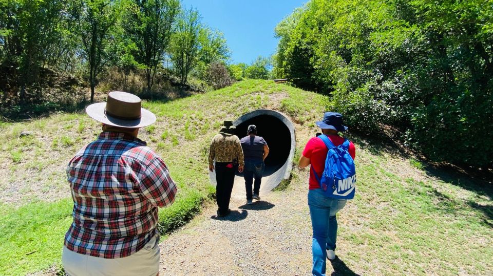 Tour Bioparque Estrella, With Transfer, Safari and Tickets - Boat Ride at La Boca Dam