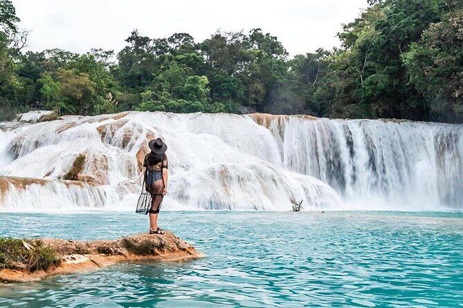 Tour Blue Waterfalls MisolHa and Palenque Waterfall - Discovering the Blue Waterfalls of Misol-Há and Palenque Waterfall: An In-Depth Review