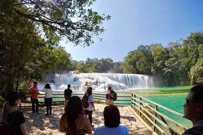Tour Blue Waterfalls MisolHa and Palenque Waterfall - Final Impressions: Who Should Consider This Tour?