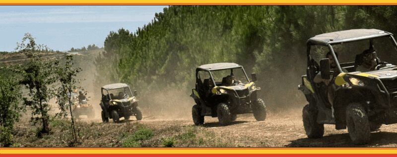 TOUR BUGGY BOTICAS AND CHAVES - Key Points