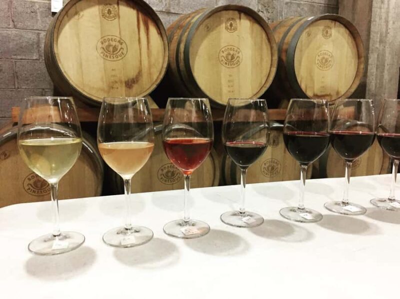 Tour+ Cata 3 vinos / Tour + 3 wine tasting - An In-Depth Look at the Chihuahua Wine Tasting Experience