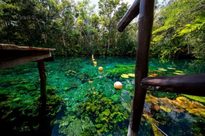 Tour Coba Ruins & Refreshing Cenote Xux Ha Swim With Lunch - The Itinerary Deconstructed