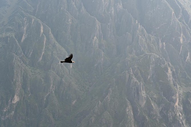 Tour Colca Canyon 2d -1n From Arequipa, Ending In Puno - Transportation Arrangements