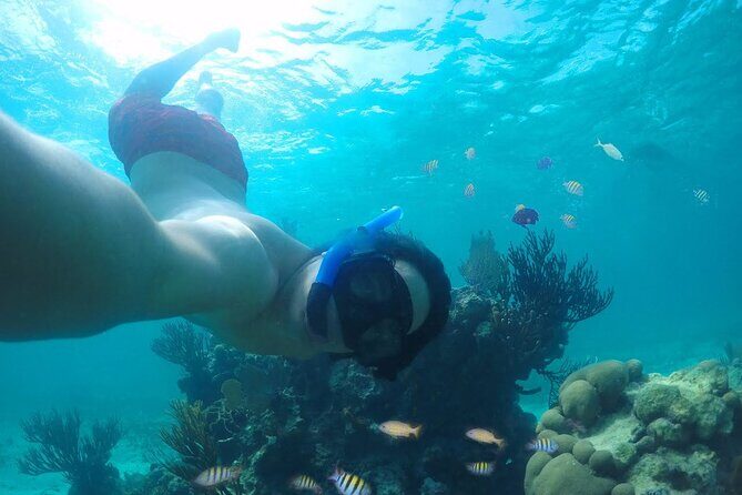 Tour Cozumel Island + Snorkel + Beach + Buggy + Lunch - The Itinerary in Detail