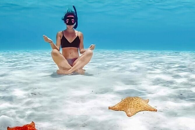 Tour Cozumel Snorkel Experience! Lunch & Transportation only from Cancun - Introduction: A Snorkeling Adventure from Cancun to Cozumel