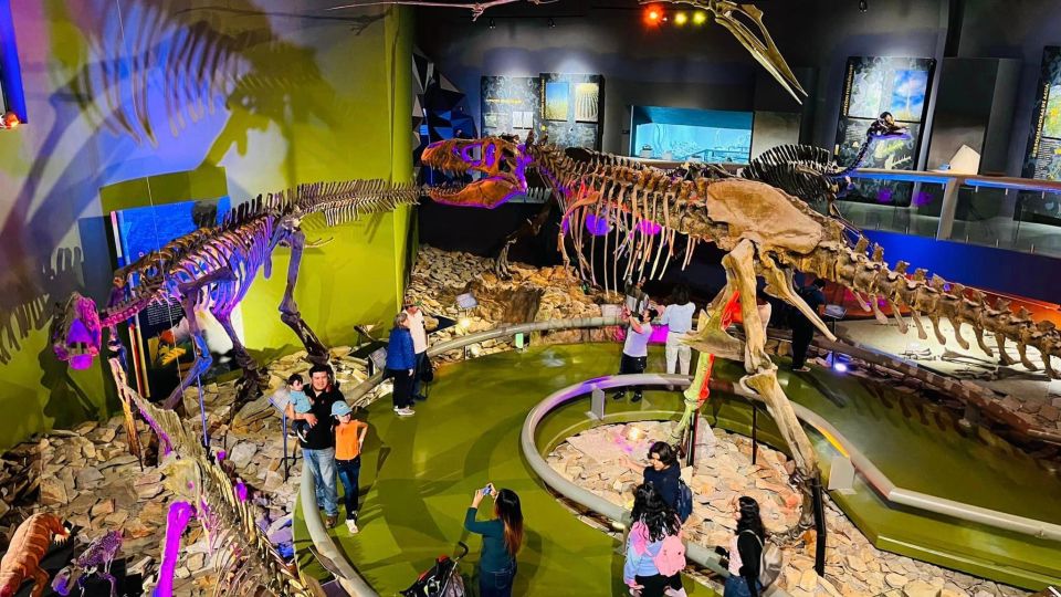 Tour: Dinosaur Museum With Guide, Transfer and Tickets - Key Points