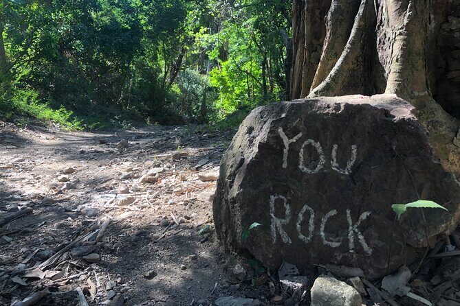 Tour Drone MX Bahía de Banderas - What about Price and Value?