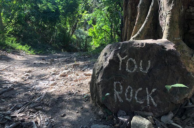Tour Drone MX Bahía de Banderas - Who Should Consider This Tour?
