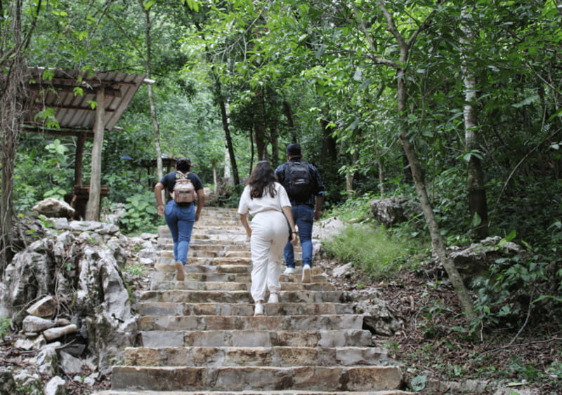 Tour: Edward James Sculpture Garden and Sótano de Huahuas - The Sótano de Huahuas: Nature’s Hidden Drama