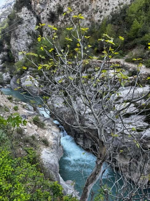 Tour From Durres/Golem Bovilla Lake & Gamti Mountain - What to Expect and Pack