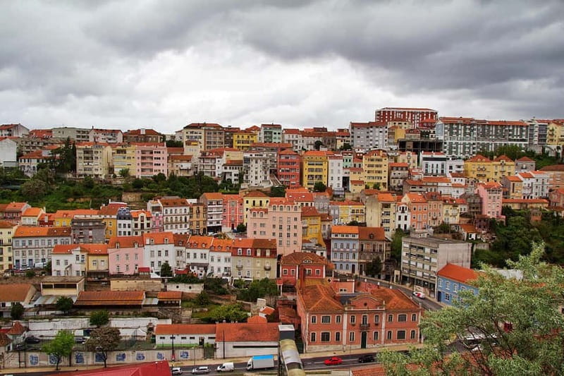 Tour from Lisbon: Aveiro, Coimbra, Conímbriga, and the Palace of Bussaco - Who Should Take This Tour?