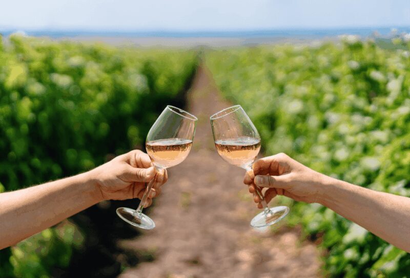 Tour from Lisbon: ÉVORA and Alentejo Wines - Who Should Consider This Tour?  