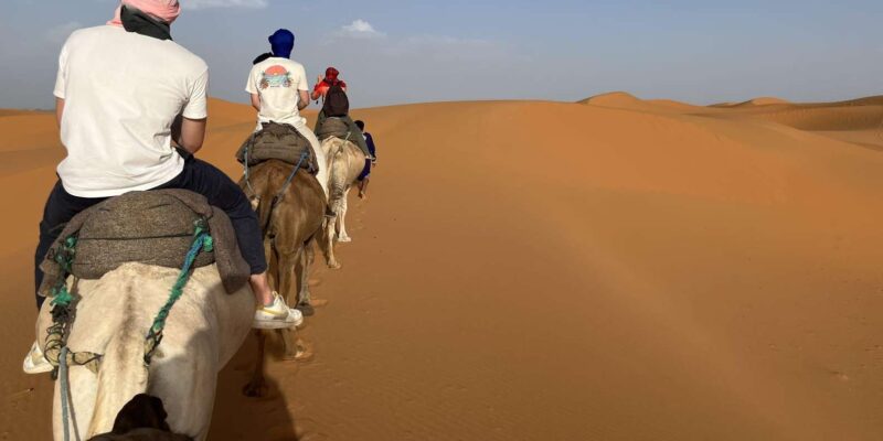 Tour From Marrakech 3-Day Sahara Desert Trip to Merzouga - Customer Reviews and Feedback