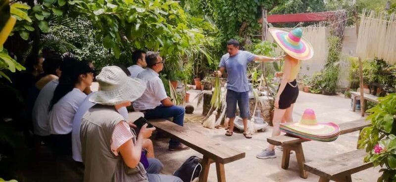 Tour from Mérida to Campeche: Jipijapa hat, history, regional food. - Discovering Campeche: A Full-Day Adventure from Mérida
