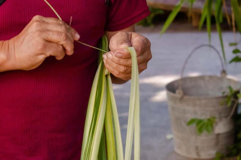 Tour from Mérida to Campeche: Jipijapa hat, history, regional food. - Final Thoughts