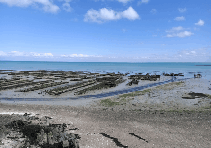 Tour From Rennes: Mont Saint-Michel & Cancale & Saint-Malo - What to Bring and Not Allowed