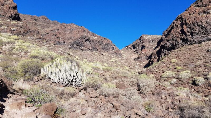 Tour Guguy or Guigui Beach - Experience and Itinerary