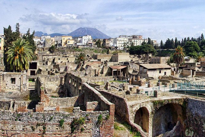 Tour Herculaneum Archaeological Park and Mount Vesuvius - Explore Herculaneum Archaeological Park