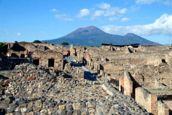 Tour Herculaneum Archaeological Park and Mount Vesuvius - Accessibility and Accommodations