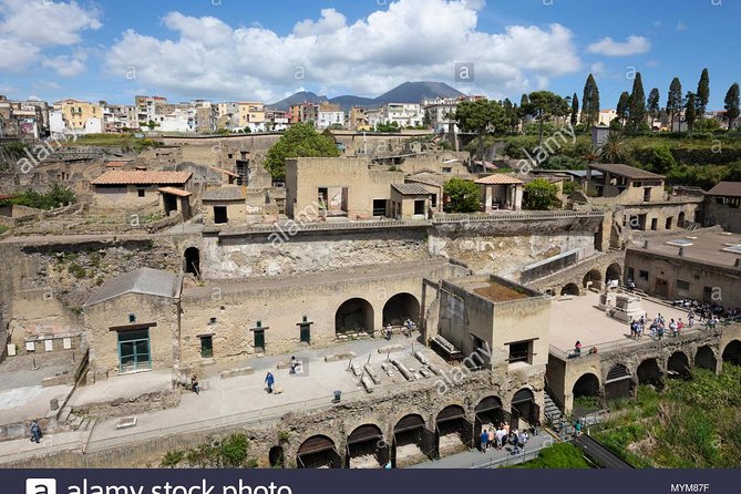 Tour Herculaneum Archaeological Park and Mount Vesuvius - Booking and Cancellation Policy