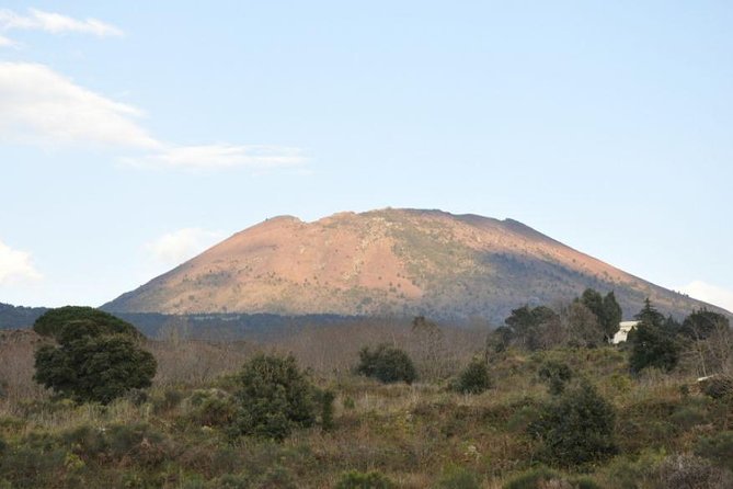 Tour Herculaneum Archaeological Park and Mount Vesuvius - Private Tour Experience